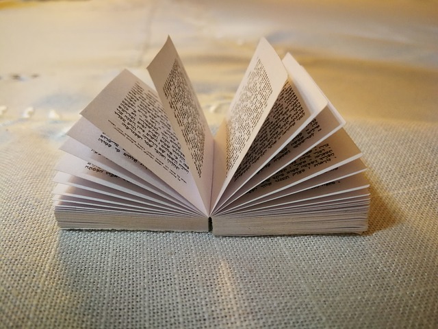 BITTERNESS OR BRACHA: CHOOSE!